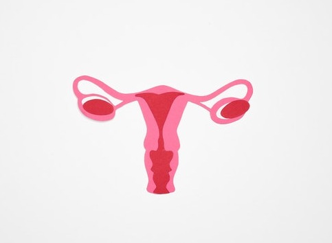 Cancer du col de l’utérus : tout ce qu’il faut savoir !