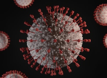 Maladie de Castleman et VIH : focus sur le virus HHV-8