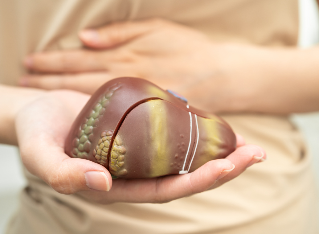 MASH et génétique : pourquoi certaines personnes développent la maladie et d’autres non ?