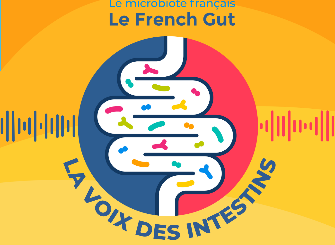 Le French Gut : la plus grande étude sur le microbiote intestinal des Français