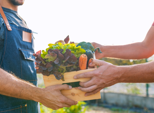 Adoptez l’alimentation locale et de saison cet automne pour votre santé et votre plaisir !