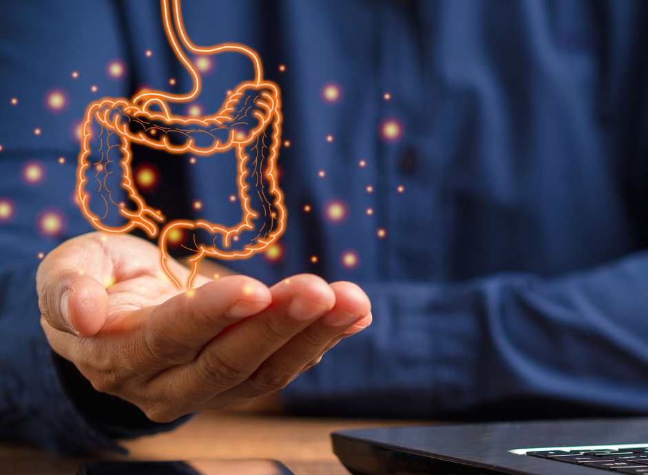 Lupus et microbiote : un duo méconnu qui influence votre santé