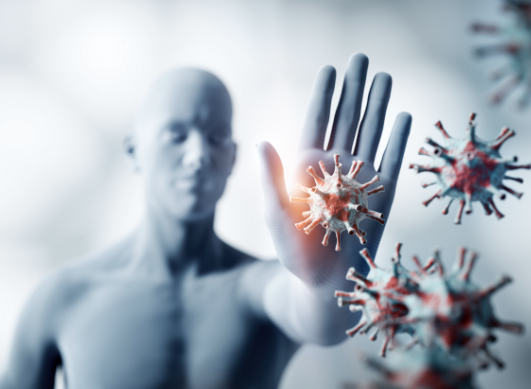 Notre système immunitaire : un équilibre invisible au cœur de la santé