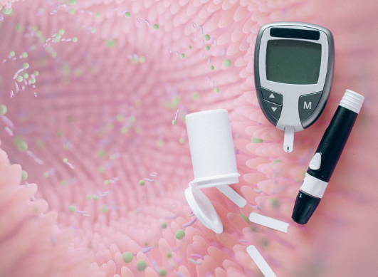 Diabète et intestin : comment le microbiote influence la glycémie et la sensibilité à l’insuline ?