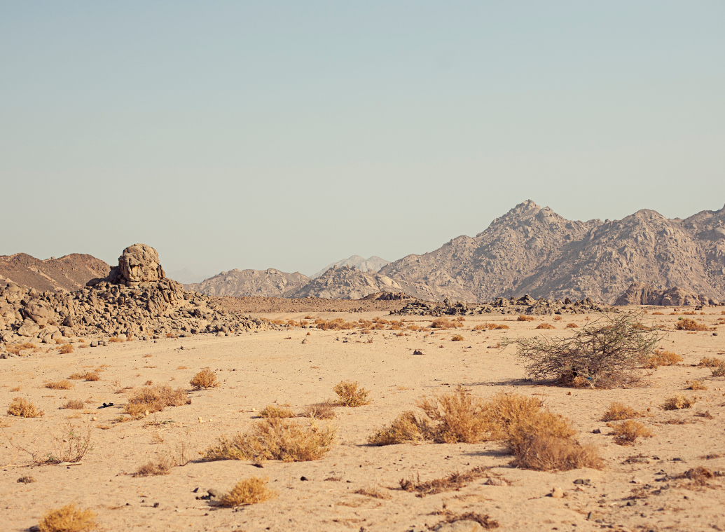 Quand la géographie décide de votre santé : vivre avec une maladie rare loin des centres spécialisés