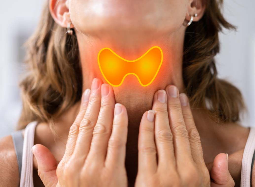 Fatigue, prise de poids, nervosité… Et si votre thyroïde était en cause ?