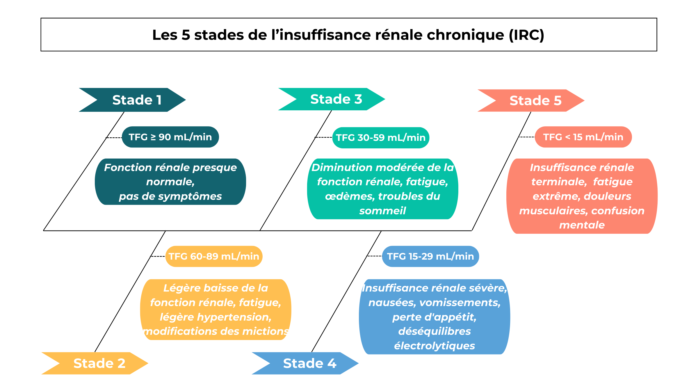 Comment Diagnostiquer Une Insuffisance R nale Chronique QWQA Comment Diagnostiquer Une Insuffisance R nale Chronique QWQA