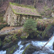 avatar Repos-vegetatif-du-Chene
