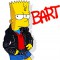 avatar Bart83