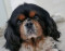 avatar Bea3342