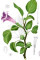 avatar Datura2001