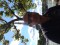 avatar Jamdou 