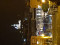 avatar noaval74
